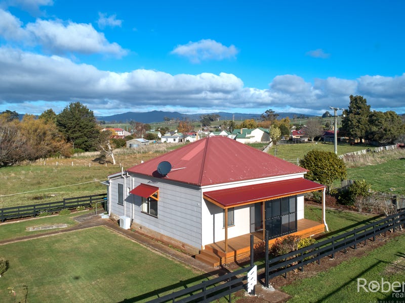 49 Winnaleah Road, Winnaleah, Tas 7265 Property Details