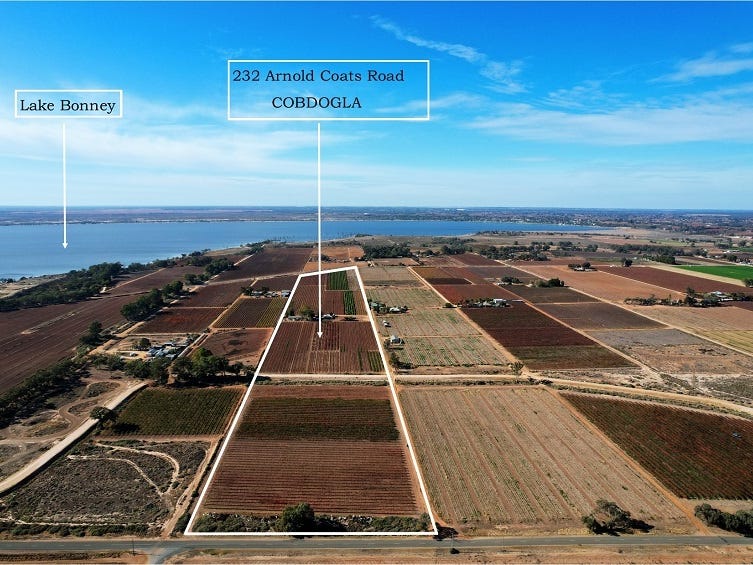 232 Arnold Coats Road, Cobdogla, SA 5346 Horticulture for Sale