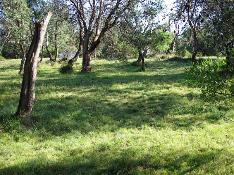 34 Paradise Beach Road, Paradise Beach, VIC 3851