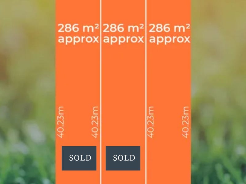 28 Barns Avenue, Highbury, SA 5089