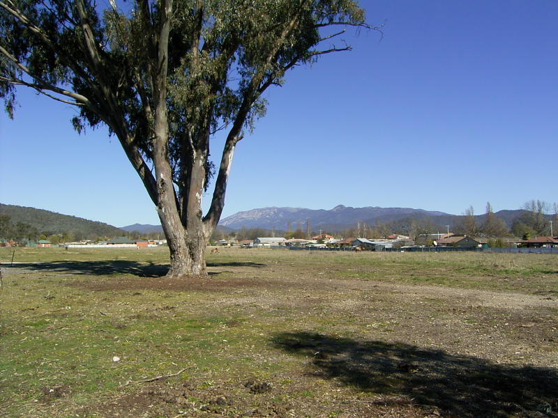 240 Myrtle Street, Myrtleford, Vic 3737