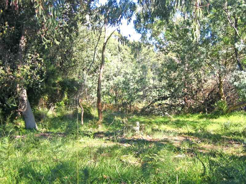 5 Cobblers Street, Seven Mile Beach, TAS 7170