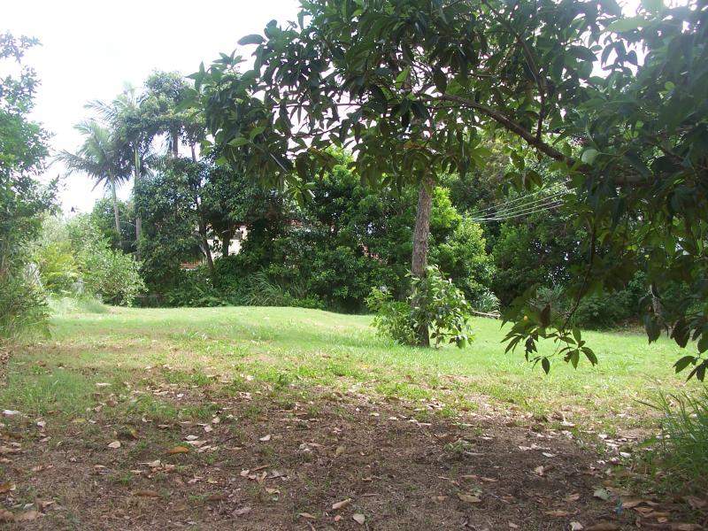 100 Mooloomba Road, Point Lookout, QLD 4183