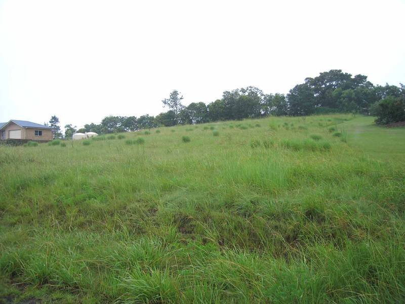 6 Harvest View Place, Fairy Hill, NSW 2470