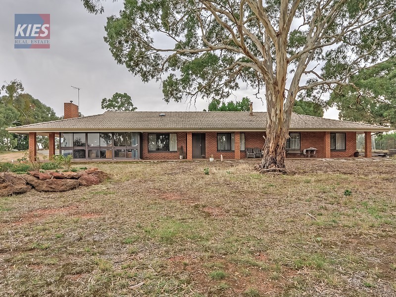 Property 125501778, Lyndoch, SA 5351 Property Details