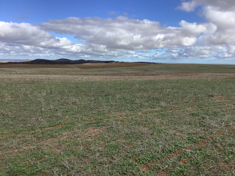 Real Estate & Property for Sale in Kimba, SA 5641 (+1 location) Pg. 4