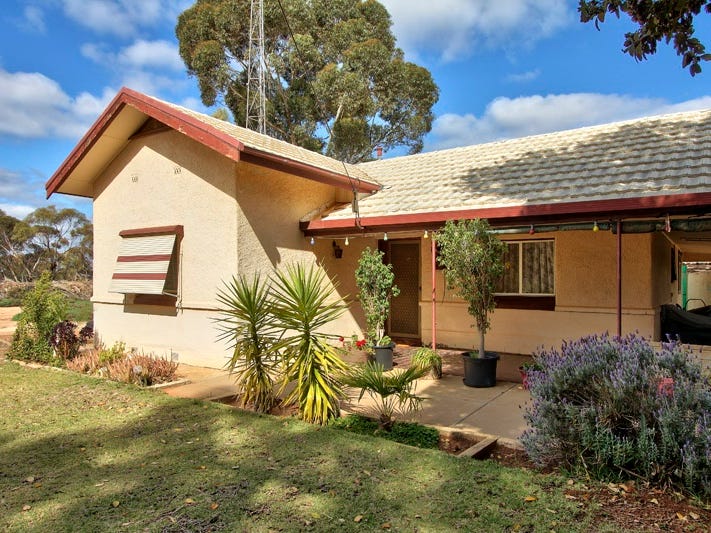 314 Old Sturt Highway, Glossop, SA 5344 Property Details