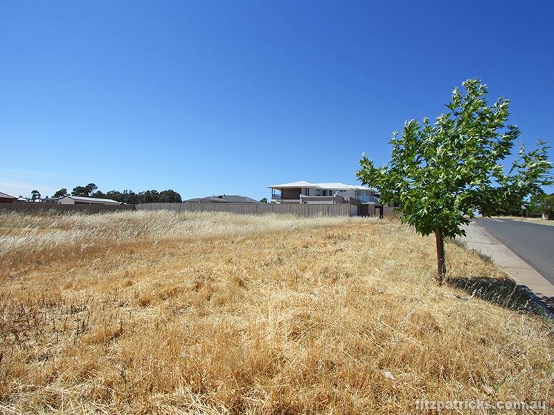 6 Plunkett Drive, Lake Albert, NSW 2650