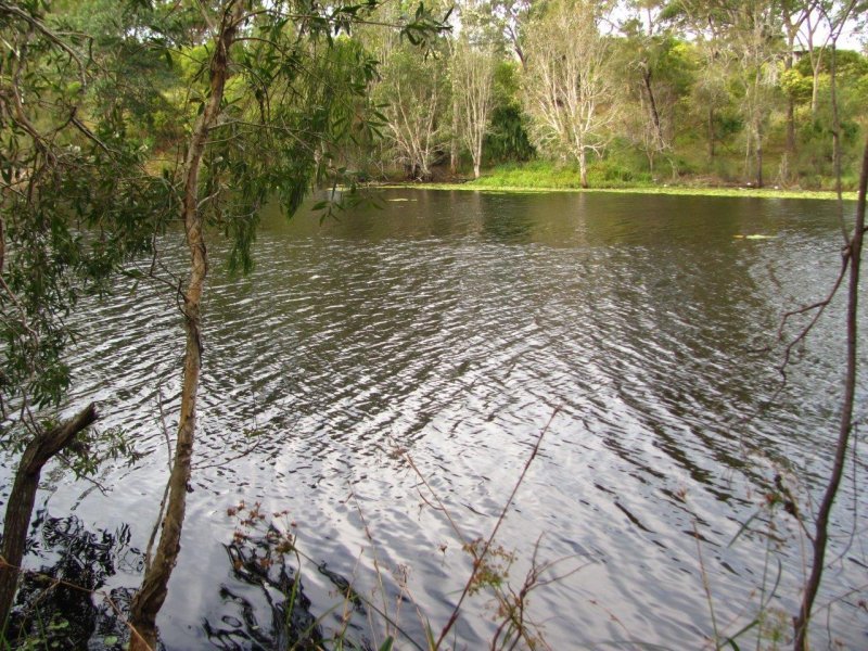 Lot 175 Freshwater Court, Deepwater, Qld 4674 Property Details