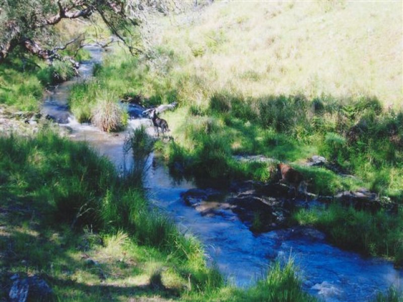 Lot 21 Kangaroo Flat Road, Yarrowitch, NSW 2354