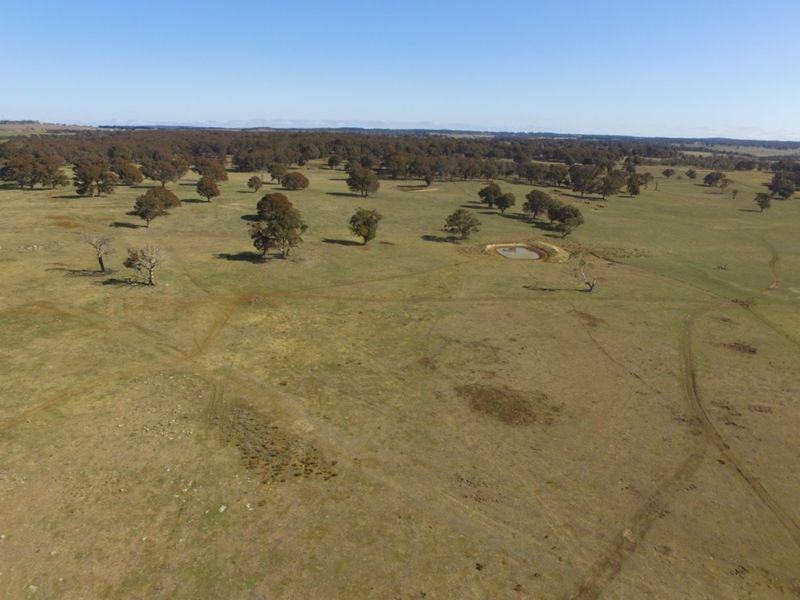 3981 Taralga Road, Taralga, NSW 2580