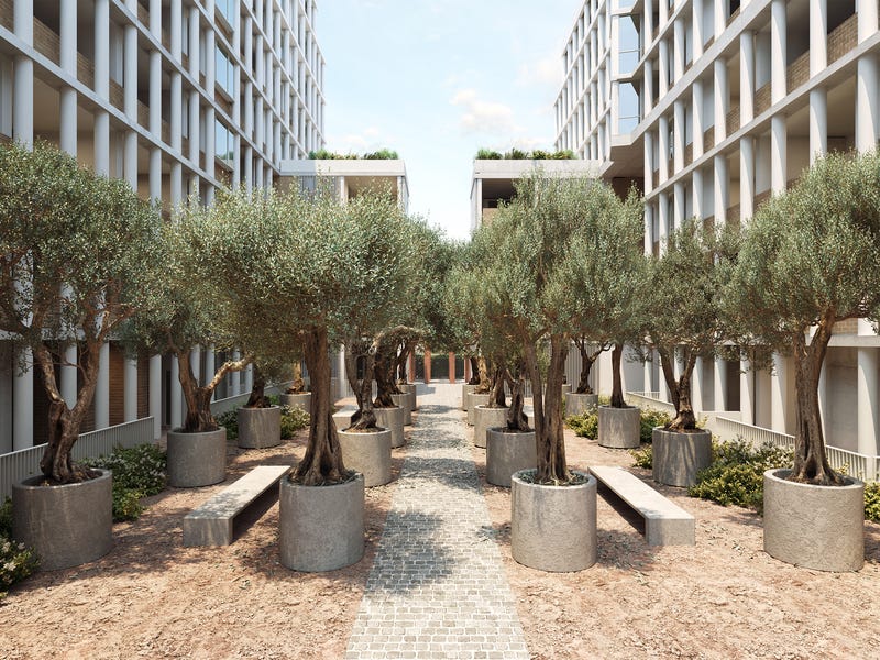 Rothschild New Apartments at 24 Rothschild Ave, Rosebery realestate