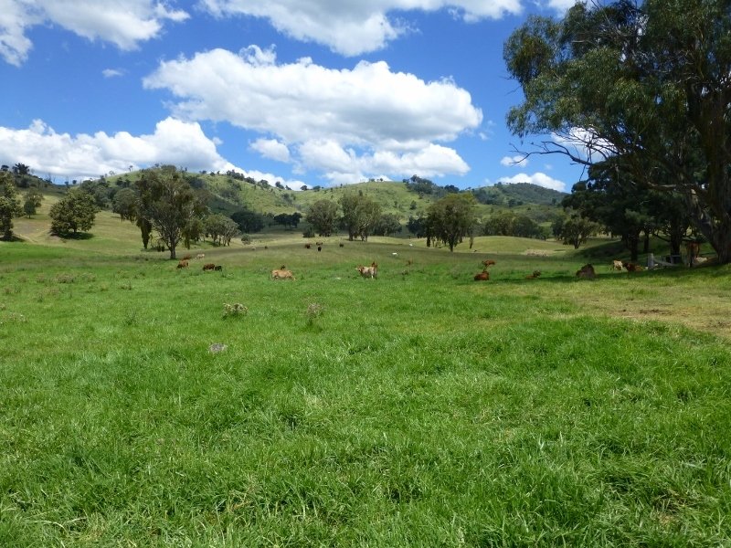 5192 Halls Creek Road, Bendemeer, NSW 2355 Property Details