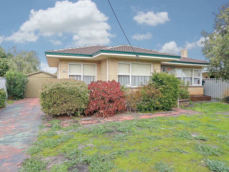 446 Morley Drive, Morley, WA 6062 Property Details