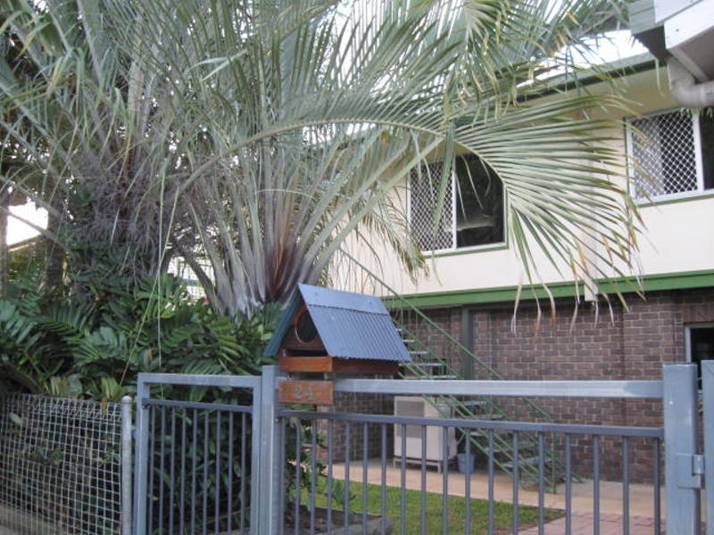 24 Rundle Street, Mount Louisa, QLD 4814 - realestate.com.au