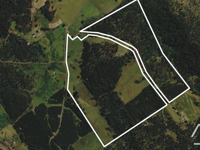 2238 Deddington Road, Blessington, Tas 7212 Property Details