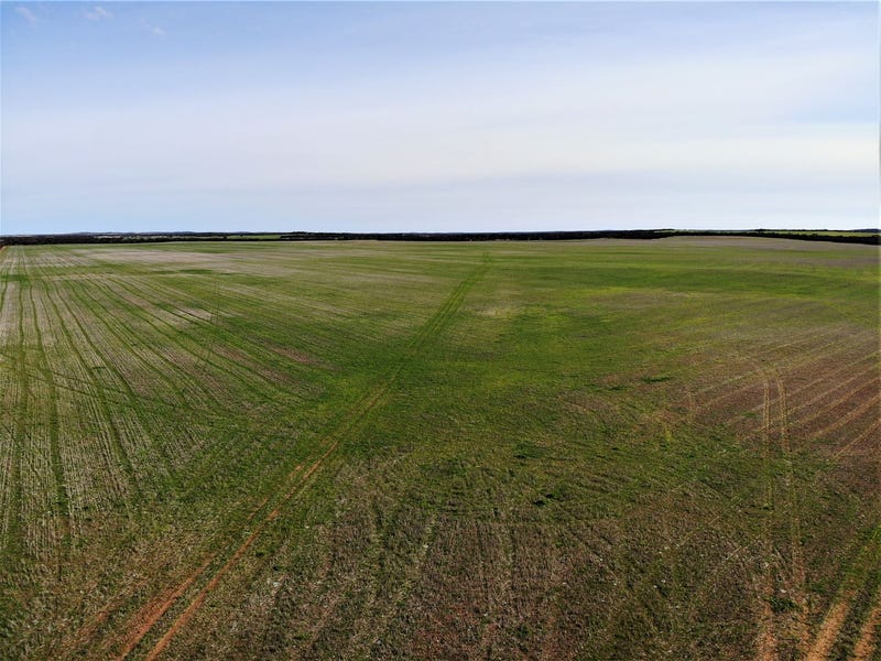 . Allan Road, Murrayville, Vic 3512 Cropping for Sale