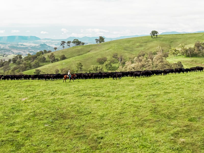 909 Jenolan Caves Road, Hampton, NSW 2790 Property Details