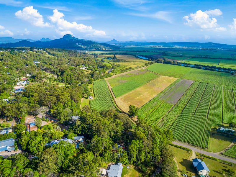 14 Burtons Road, Maroochy River, QLD 4561