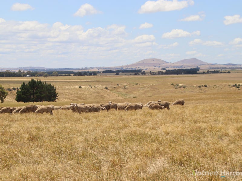 3100 Ballarat-Maryborough Road, Clunes, Vic 3370 - Property Details