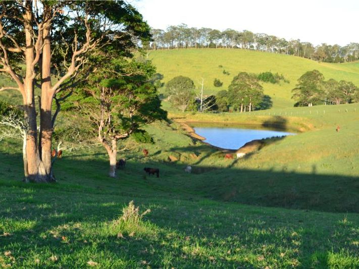 89 Hausmann Road, Mount Mee, QLD 4521