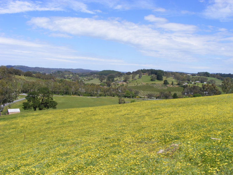 Lot 4 Chapman Road, Inglewood, SA 5133