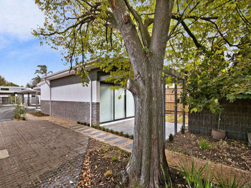 5/51 Plummer Road, Mentone, VIC 3194