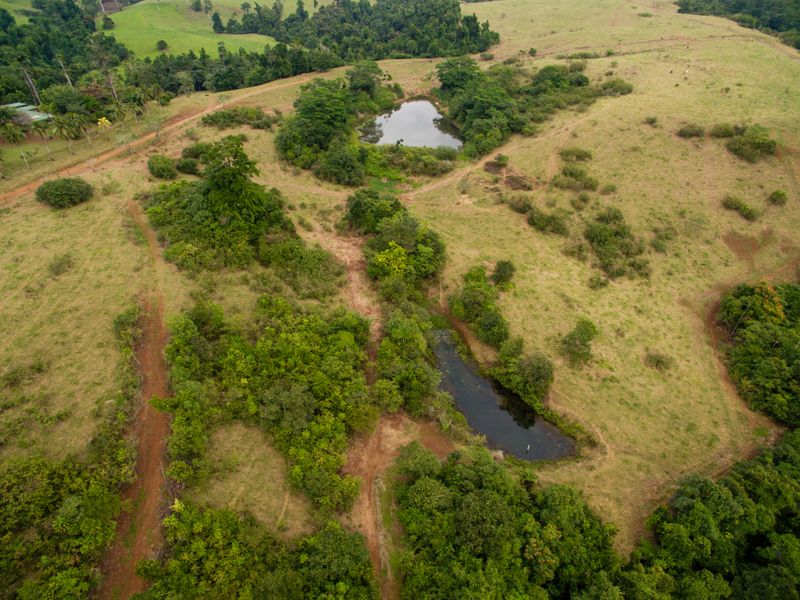 2 Locations In Far North Queensland, Ravenshoe, Qld 4888 - Property Details