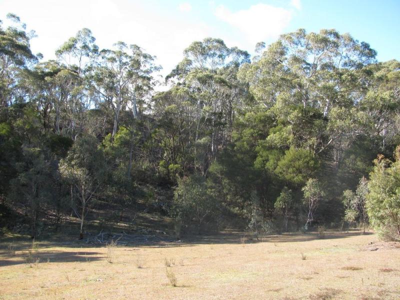 Lot 31 Off Nerriga Road, Braidwood, NSW 2622 Property Details