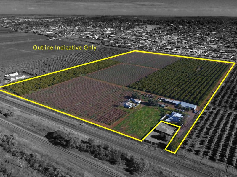 217 Rankins Springs Road, Griffith, NSW 2680 Property Details