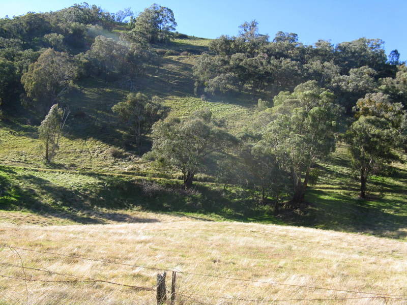 1466 Cassilis Road, Cassilis, Vic 3898 Property Details