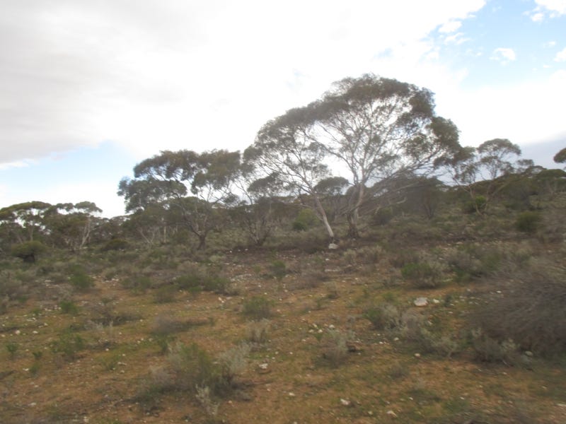 Lot 4 Stott Highway, Sedan, SA 5353 Property Details