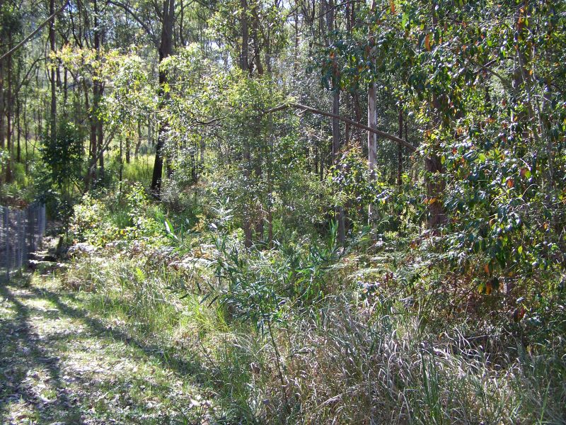 11 Curlew Cres, Nerong, NSW 2423