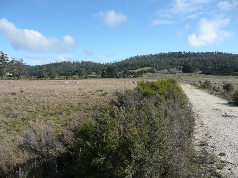 407 Dalrymple Road, Mount Direction, TAS 7252