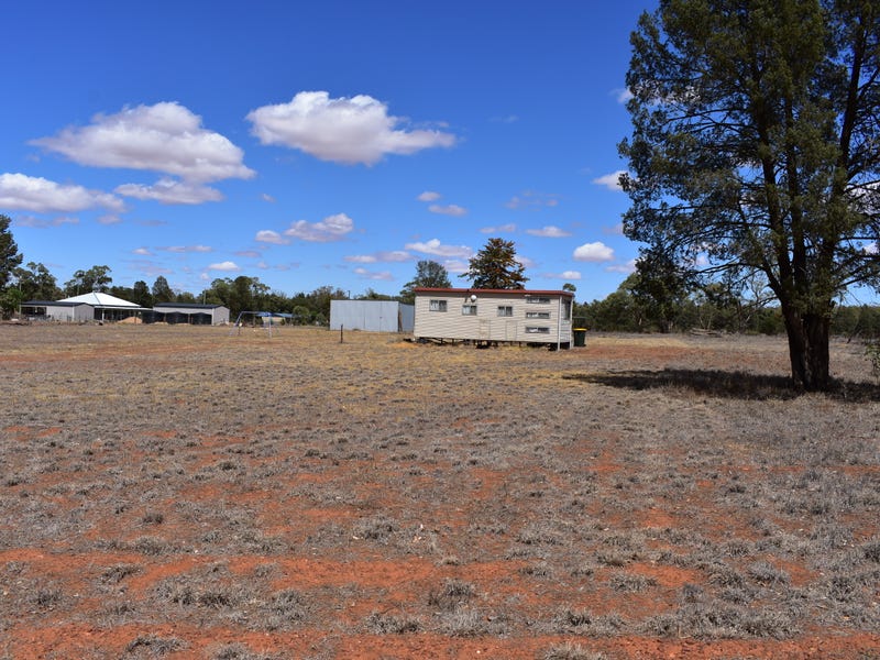 134 Forbes Street, Trundle, NSW 2875