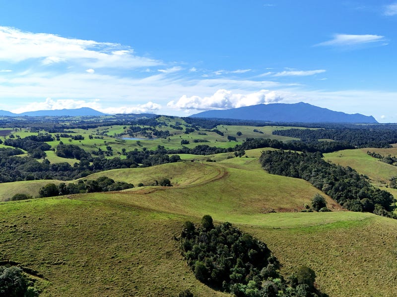 279 Hosie Road, Tarzali, Qld 4885 House for Sale