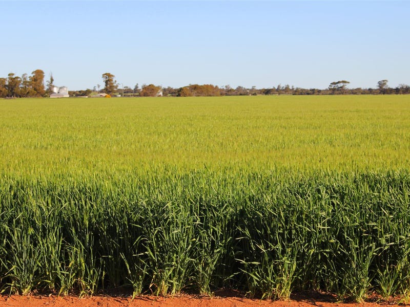 Property 7985770, Beacon, WA 6472 Property Details