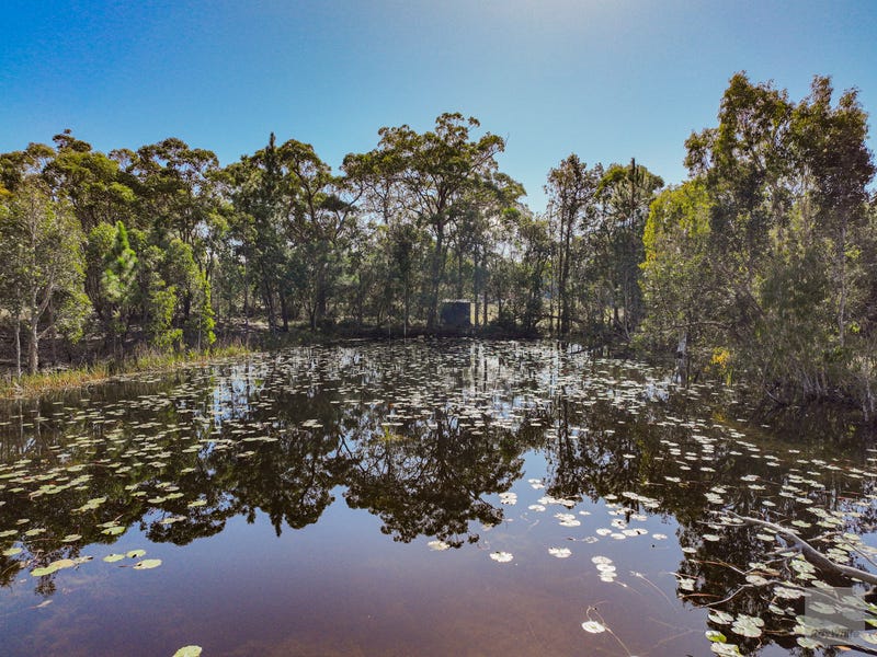 61 Broughton Road, Byfield, Qld 4703 House for Sale