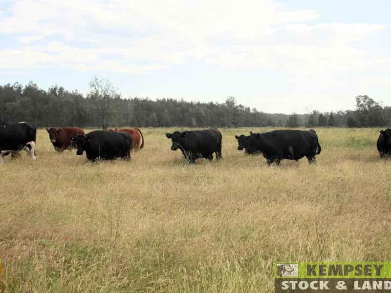 367 Kemps Access, Collombatti, NSW 2440