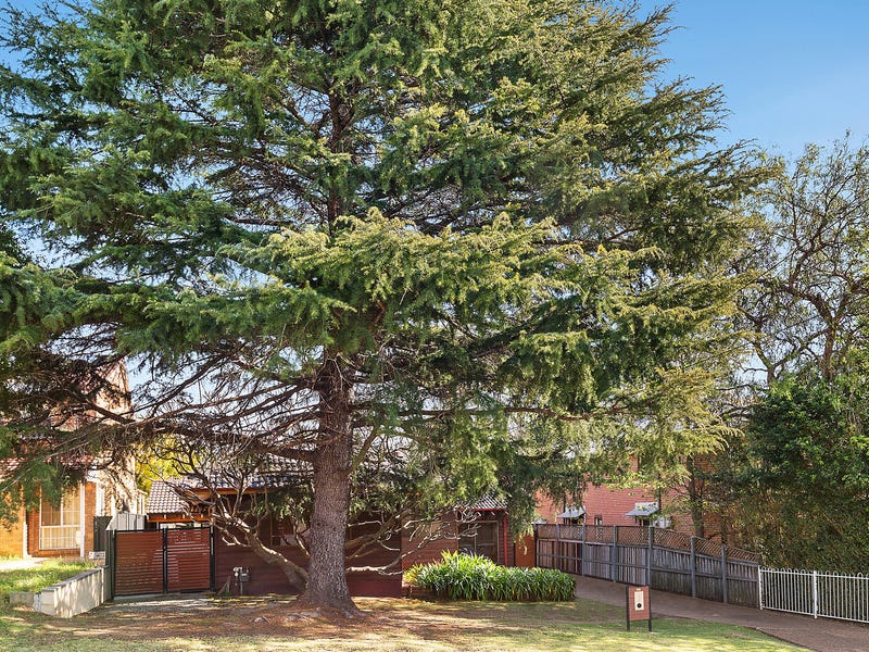 56 Patricia Street, Marsfield, NSW 2122 Property Details