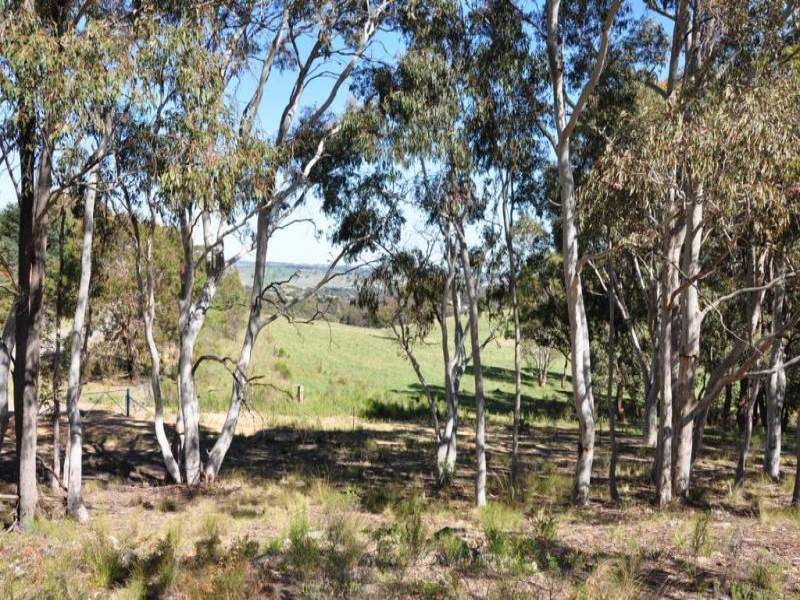 135 Strathnook Lane, Clifton Grove, NSW 2800