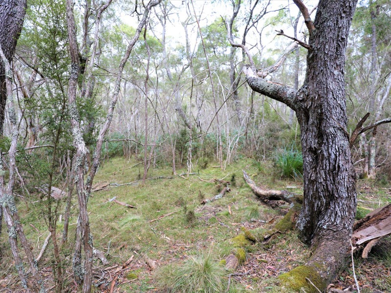 Lot 113 Big Jack Mountain Road, Cathcart, NSW 2632 Property Details