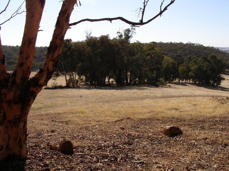 Property 7305718, Wandering, WA 6308 Property Details