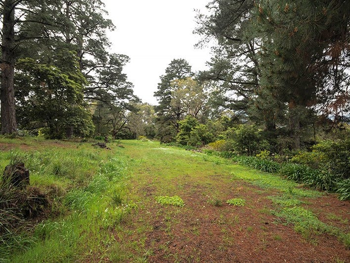 98 Mt Riddell Road, Healesville, VIC 3777 - realestate.com.au