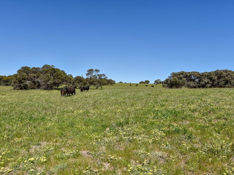 8899 Princes Highway, Meningie, SA 5264 Property Details