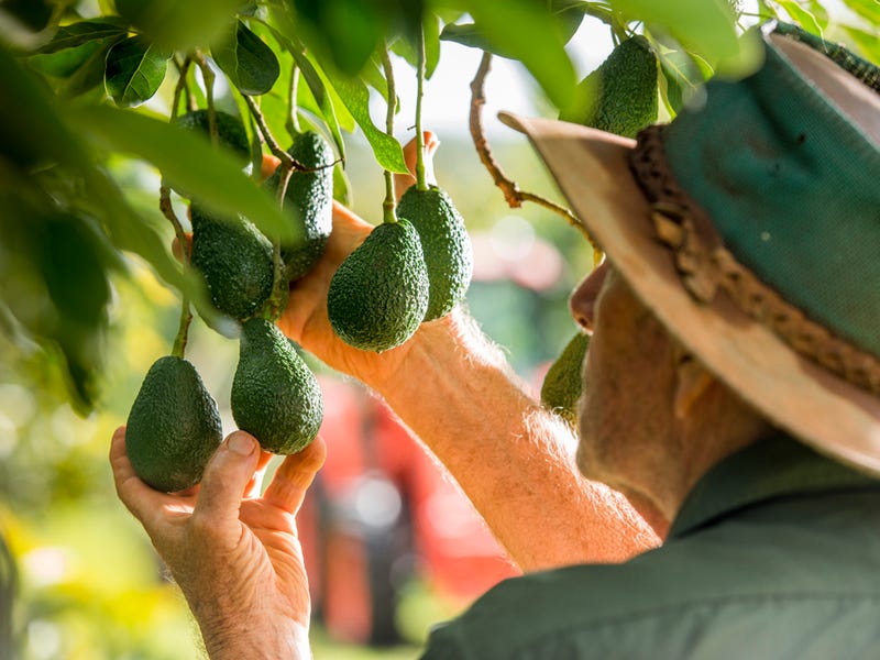 107 Cherry Creek Road, Cherry Creek, QLD 4314