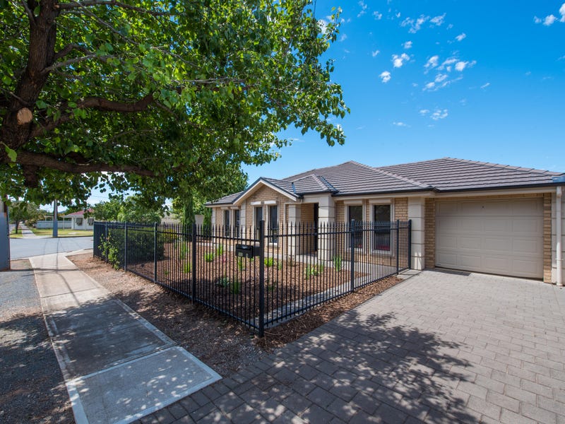 3 Boyle Street, Marion, SA 5043