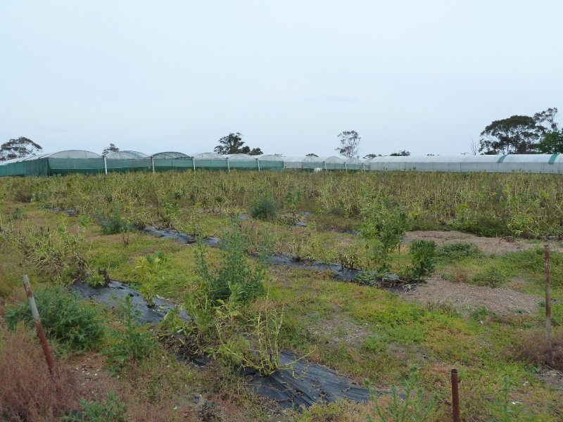 119 Cattai Ridge Road, Glenorie, NSW 2157