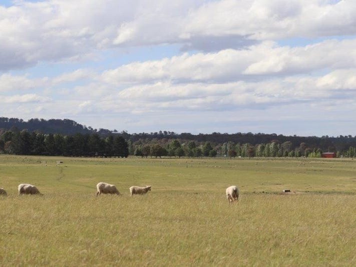 8206 New England Highway, Glencoe, NSW 2365