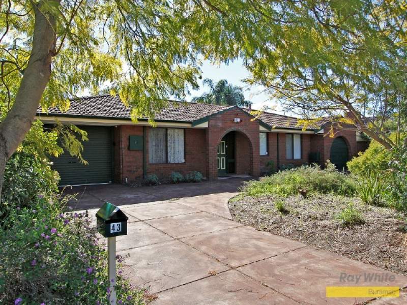 43 Jacaranda Drive, Ballajura, WA 6066